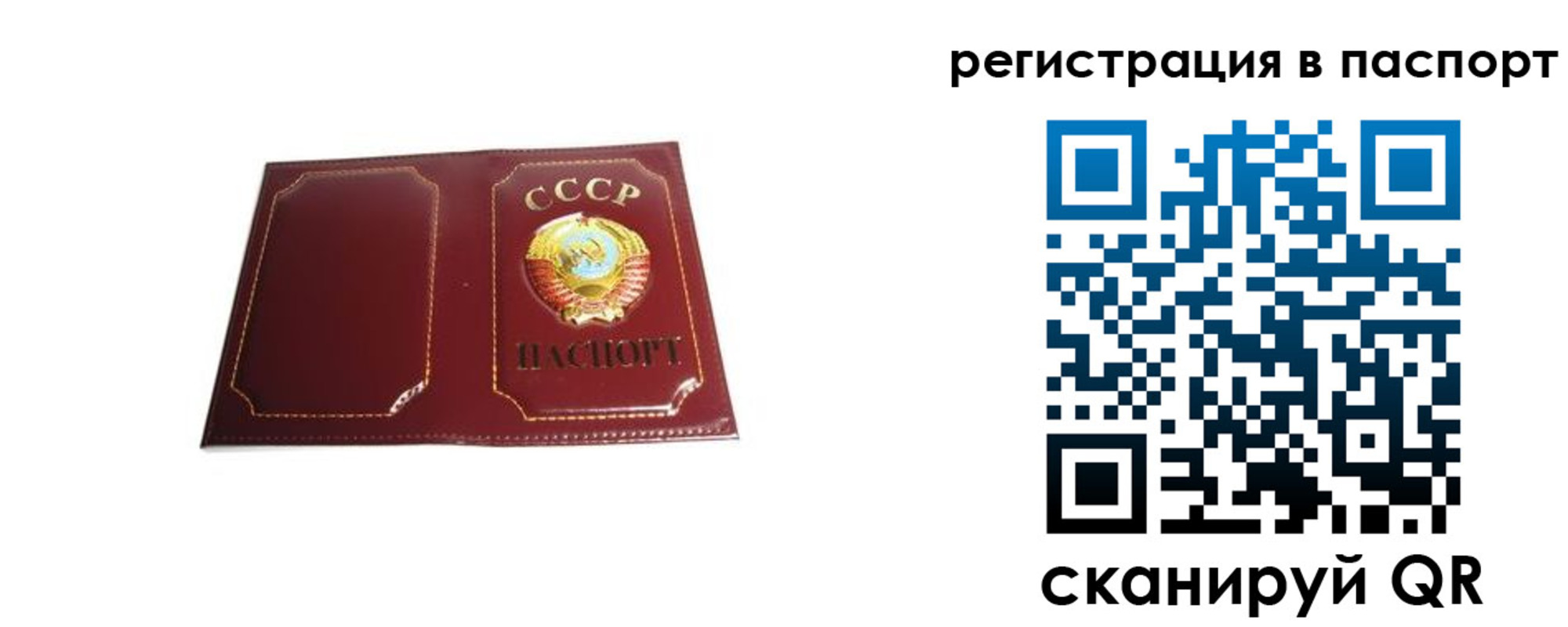 прописка 2025 в Бокситогорске